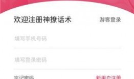 新闻爆料话术模板电子版,如何撰写引人关注的电子版新闻概述